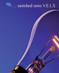 Home Page Image